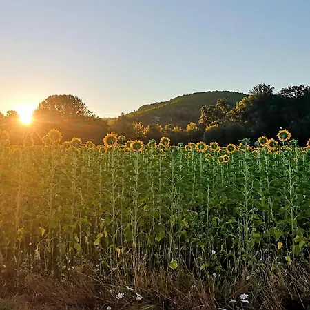 In Saint-Géraud-de-Corps