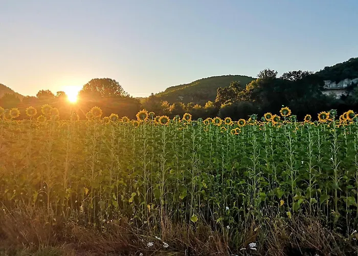 In Saint-Géraud-de-Corps